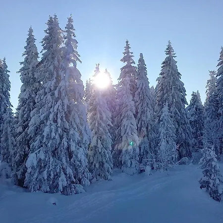 Au Pied Du Pertuiset